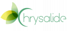 chrysalide